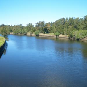 Come for a cultural and bush tucker walk along the Cooks River and lunch with STARS Image of the Cooks River