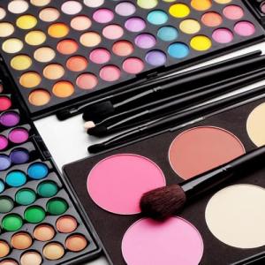 Introduction to Makeup Make-up palette