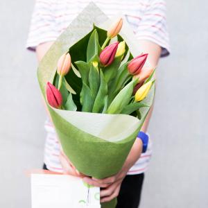 For the month of August A boy holding a bright mixed bunch of Tulips