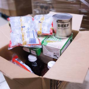 Food and Financial emergency relief March - June 2025 Food and Financial emergency relief March - June 2025
